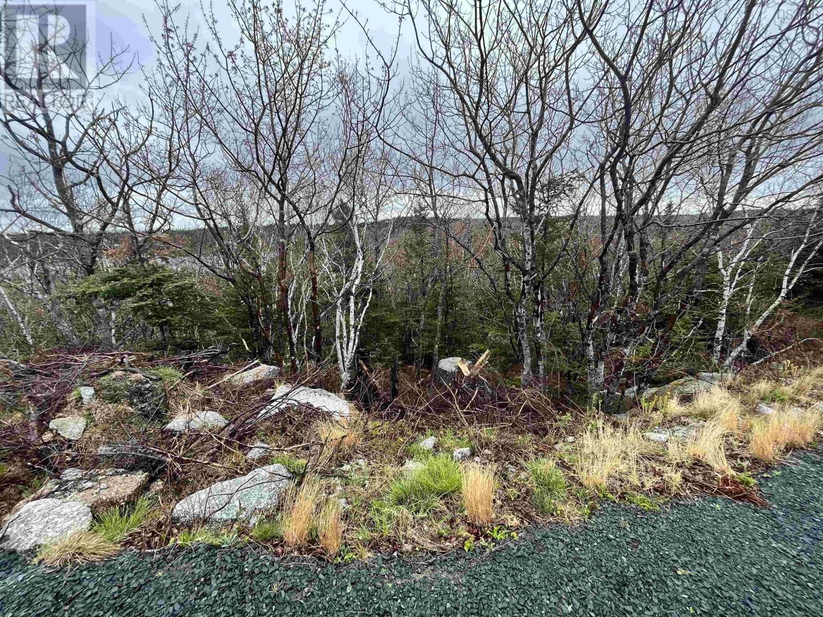 Lot 4 Deerfield Avenue, Portuguese Cove, Nova Scotia  B3V 1J8 - Photo 10 - 202309366