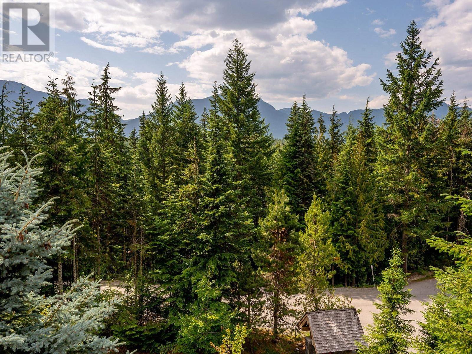 4673 Blackcomb Way, Whistler, British Columbia  V8E 0Z3 - Photo 11 - R2834059