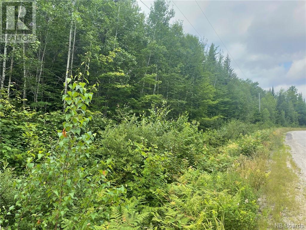 Lot Bossman Drive, Cains River, New Brunswick  E9E 2J2 - Photo 13 - NB061581