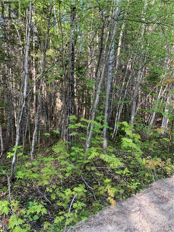 Lot 83-14 David Rd Galloway, Galloway, New Brunswick  E4W 2K7 - Photo 2 - NB069628