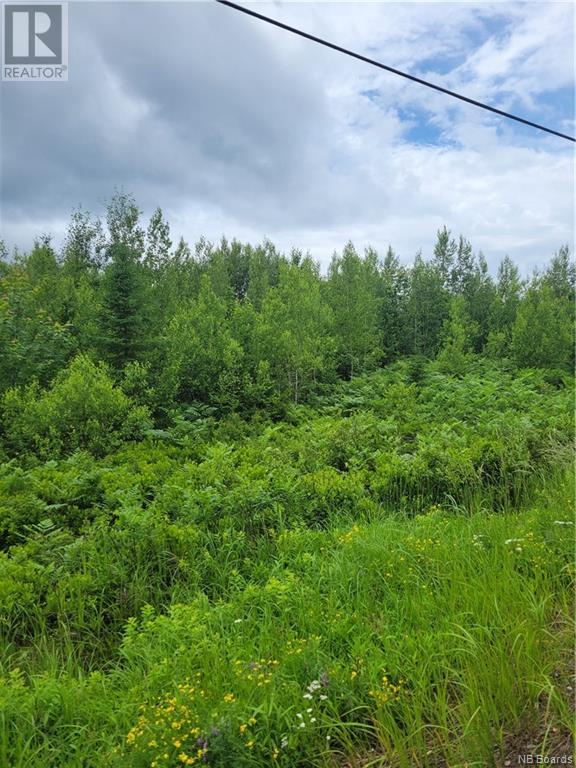 Lot 6 Route 10, Cumberland Bay, New Brunswick  E4A 3A3 - Photo 7 - NB072900