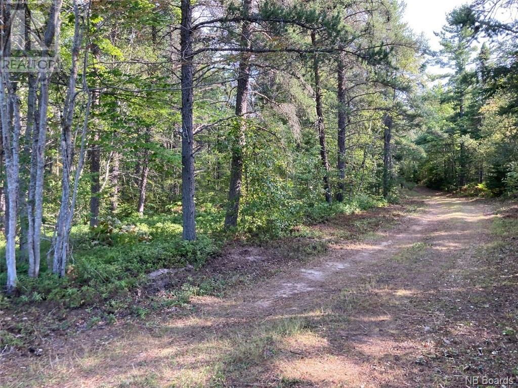 8.37 Acres Chemin Pointe à Tom, Tracadie, New Brunswick  E1X 3X6 - Photo 2 - NB078843