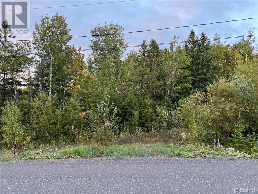 Lot 118 Rue De La Falaise, Edmundston, New Brunswick  E3V 0G8 - Photo 3 - NB079269