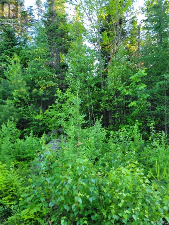 Lot 79-20 Morton Lane, Cumberland Bay, New Brunswick  E4A 3J3 - Photo 5 - NB081752