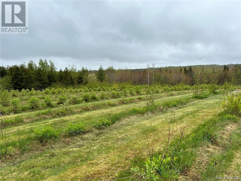 1.85 Hec Pont Du Milieu Road, Saint-Ignace, New Brunswick  E9X 2J8 - Photo 8 - NB086702