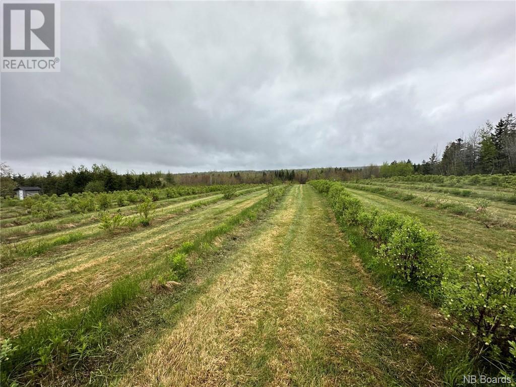 1.85 Hec Pont Du Milieu Road, Saint-Ignace, New Brunswick  E9X 2J8 - Photo 5 - NB086702