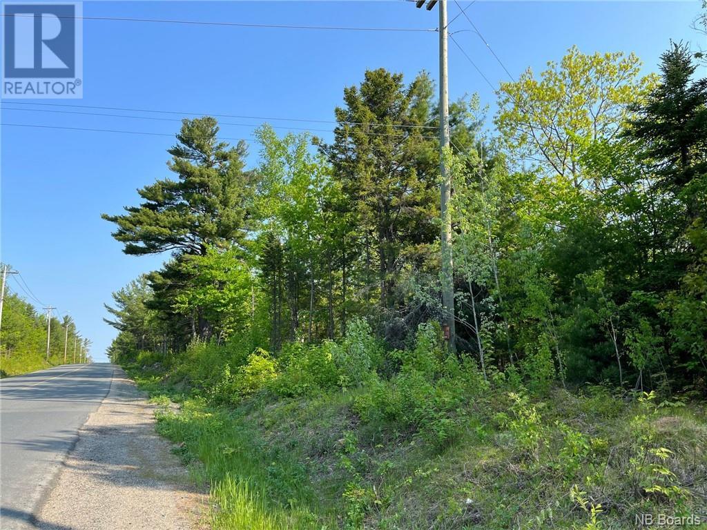 +/- 30 Acres Hansen Road, Miramichi, New Brunswick  E1V 3M2 - Photo 3 - NB087213