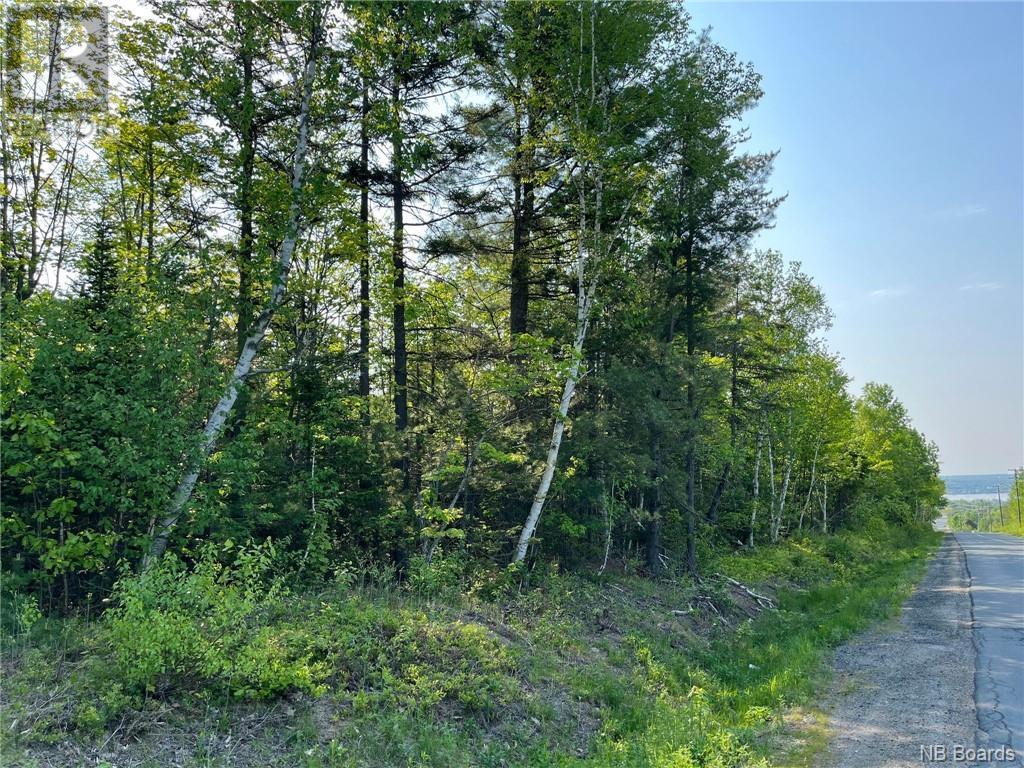 /- 30 Acres Hansen Road, Miramichi, New Brunswick  E1V 3M2 - Photo 5 - NB087213