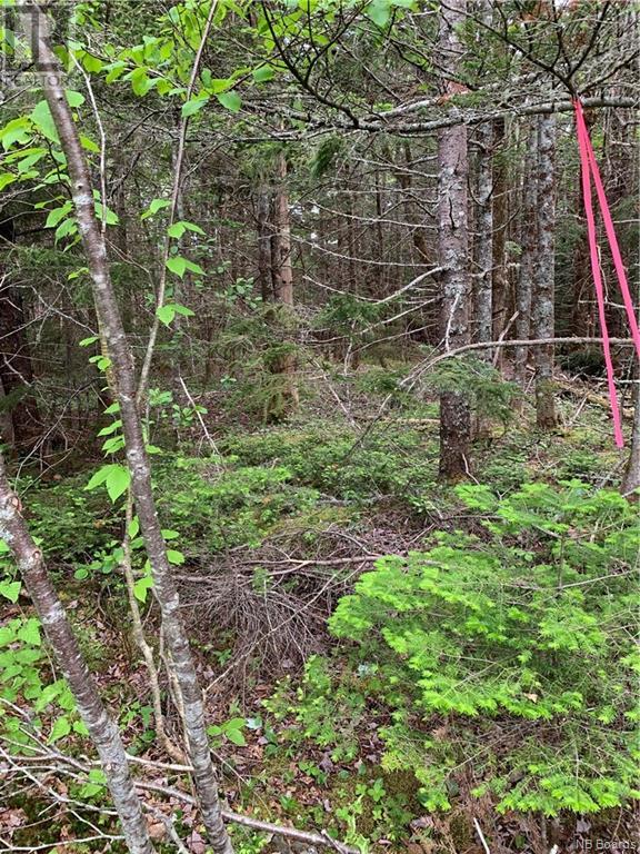 Lot 15-B Burchills Flats, St. Martins, New Brunswick  E5R 1V2 - Photo 9 - NB088664