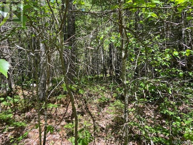 Lot 2 Maxtan Drive, Penobsquis, New Brunswick  E4G 2A4 - Photo 5 - NB088695