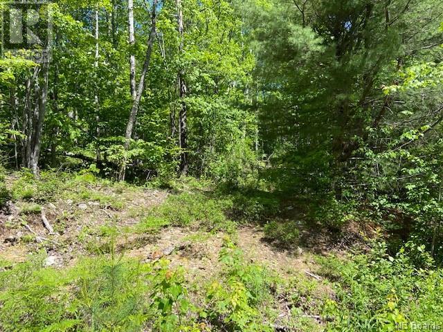 Lot 3 Maxtan Drive, Penobsquis, New Brunswick  E4G 2A4 - Photo 4 - NB088699