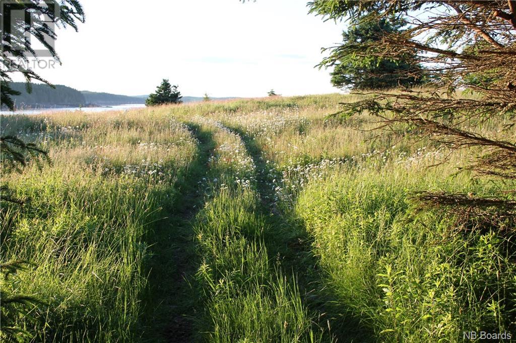 - Hills Island/mccann Island, Back Bay, New Brunswick  E5G 1G1 - Photo 36 - NB088749