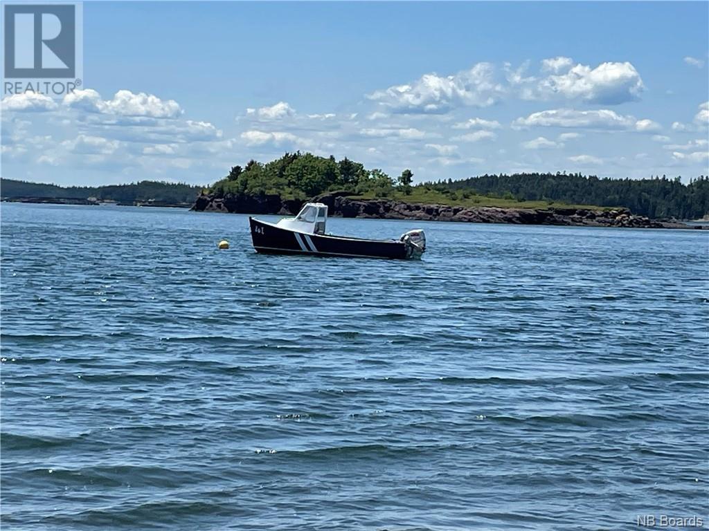 - Hills Island/mccann Island, Back Bay, New Brunswick  E5G 1G1 - Photo 12 - NB088749