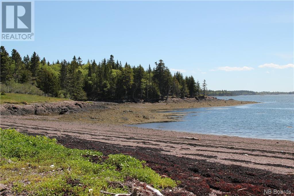 - Hills Island/mccann Island, Back Bay, New Brunswick  E5G 1G1 - Photo 38 - NB088749