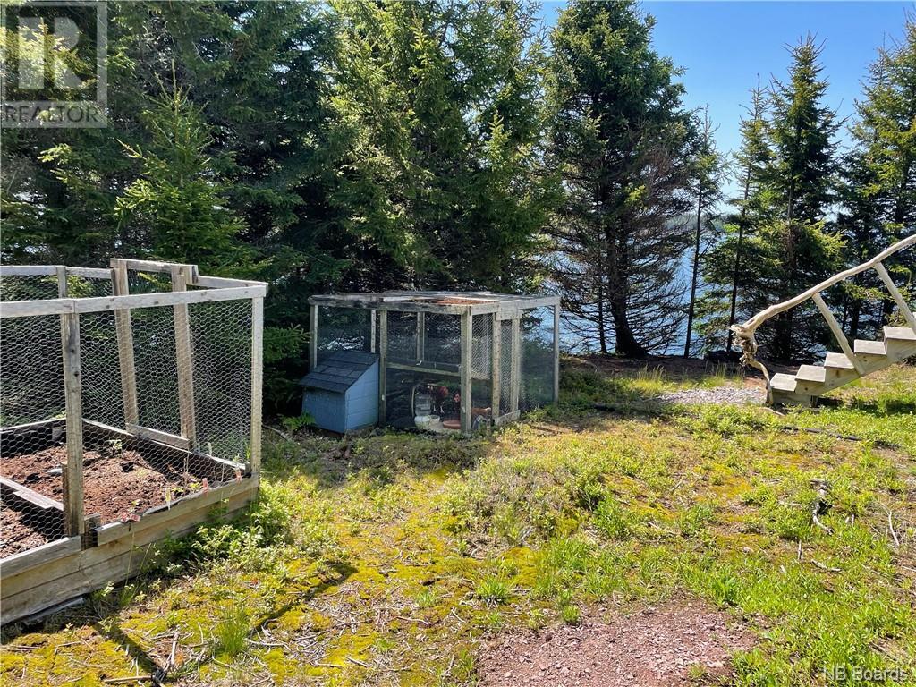 - Hills Island/mccann Island, Back Bay, New Brunswick  E5G 1G1 - Photo 32 - NB088749