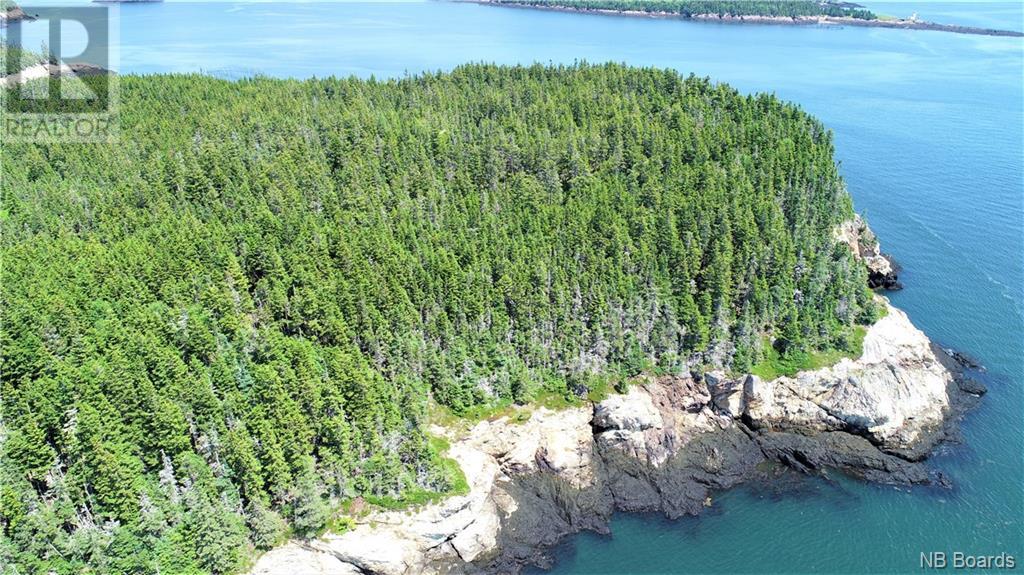 - White Head Island, Back Bay, New Brunswick  E5H 1C4 - Photo 19 - NB088963