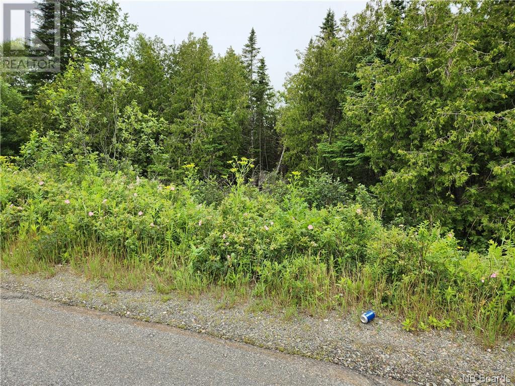 Property at Hickey Road image 3