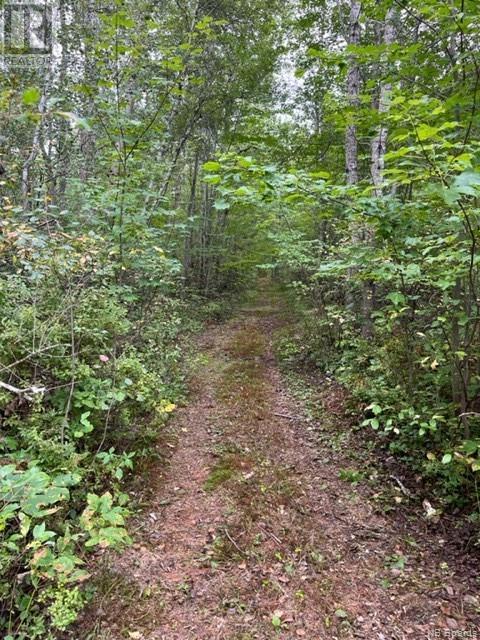 Lot Route 10 Highway, New Zion, New Brunswick  O0O 0O0 - Photo 2 - NB091934