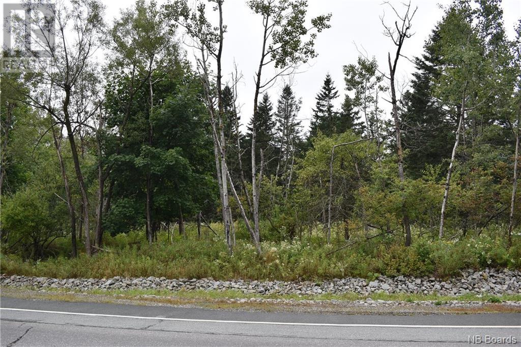 Development Lot Mowat Drive, Saint Andrews, New Brunswick  E5B 2P2 - Photo 2 - NB092043