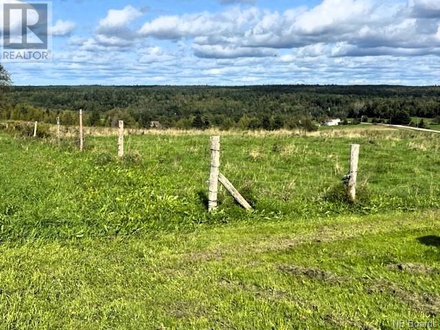 689 Carpenter Bald Hill Road, Wickham, New Brunswick  E5T 3W7 - Photo 21 - NB092367