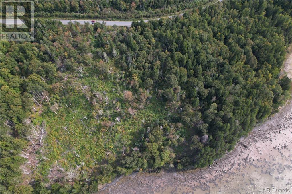 - Bunker Hill Road, Wilsons Beach, New Brunswick  E5E 1Z4 - Photo 6 - NB092623