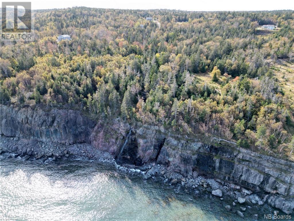 - Whistle Road, Grand Manan, New Brunswick  E5G 1B5 - Photo 9 - NB092689