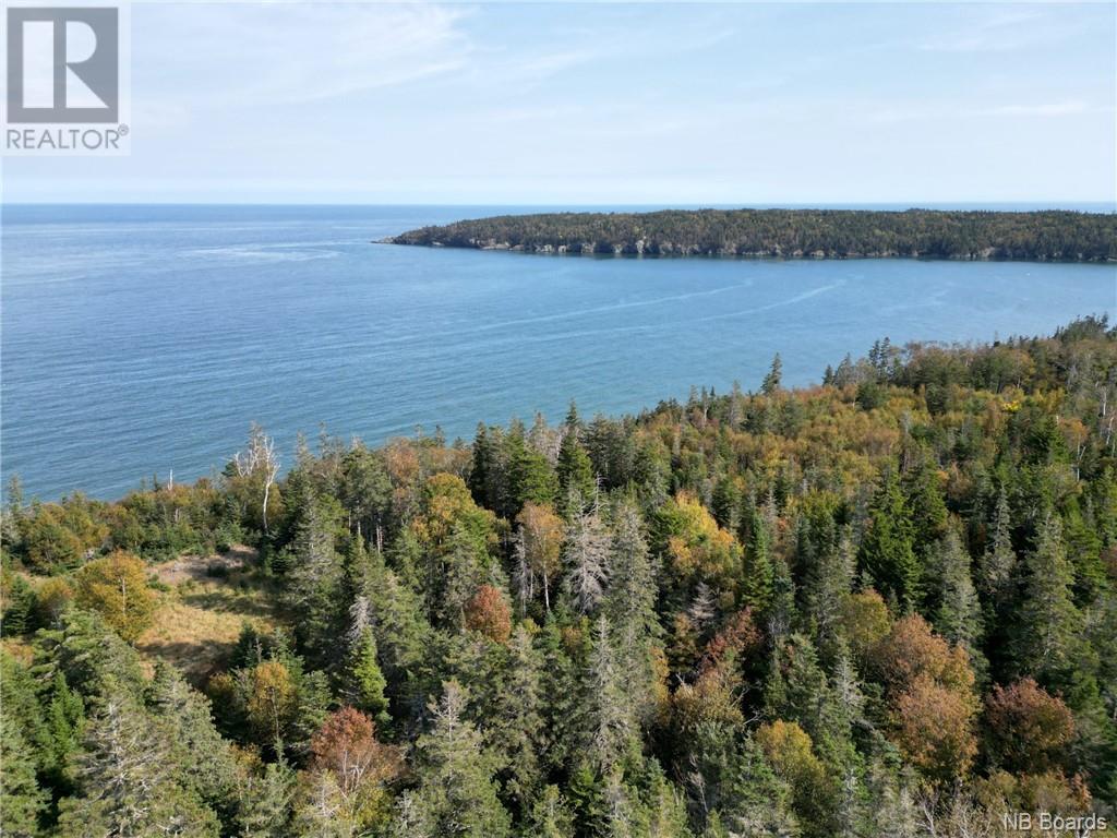 - Whistle Road, Grand Manan, New Brunswick  E5G 1B5 - Photo 1 - NB092689