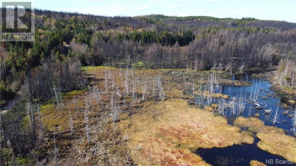 Lot 3 Route 127, Bocabec, New Brunswick  E5B 3H4 - Photo 18 - NB092992