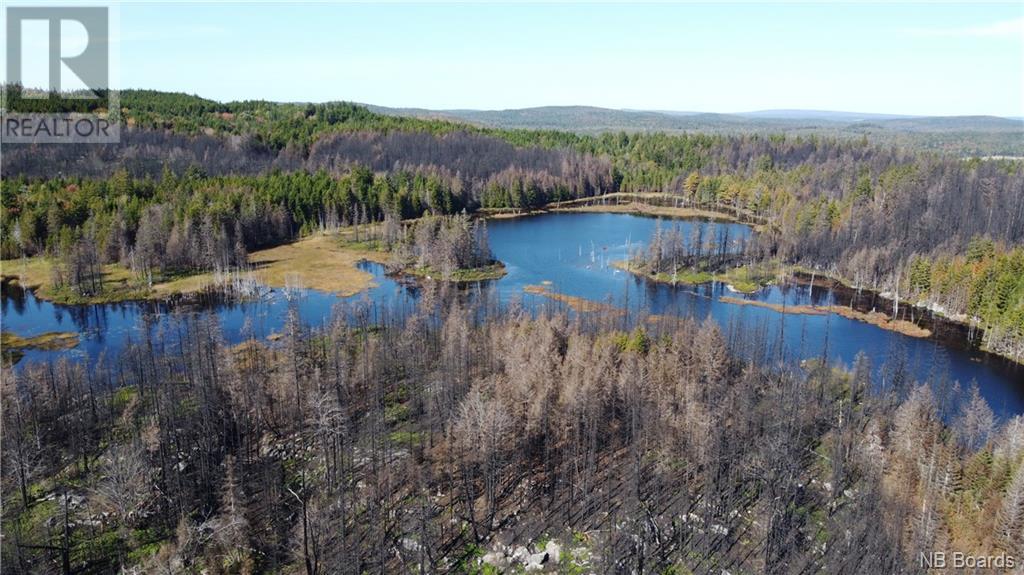 Lot 5 Route 127, Bocabec, New Brunswick  E5B 3H4 - Photo 17 - NB092994