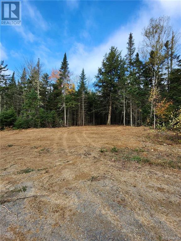 Lot Glencoe Road, Nashwaak Bridge, New Brunswick  E6C 1T5 - Photo 1 - NB094500