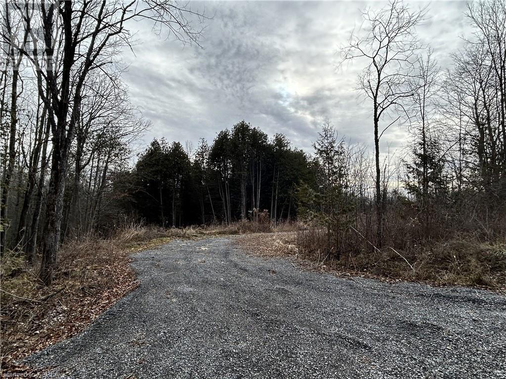 269 9th Concession Road, Camden East, Ontario  K0K 1Z0 - Photo 7 - 40522216