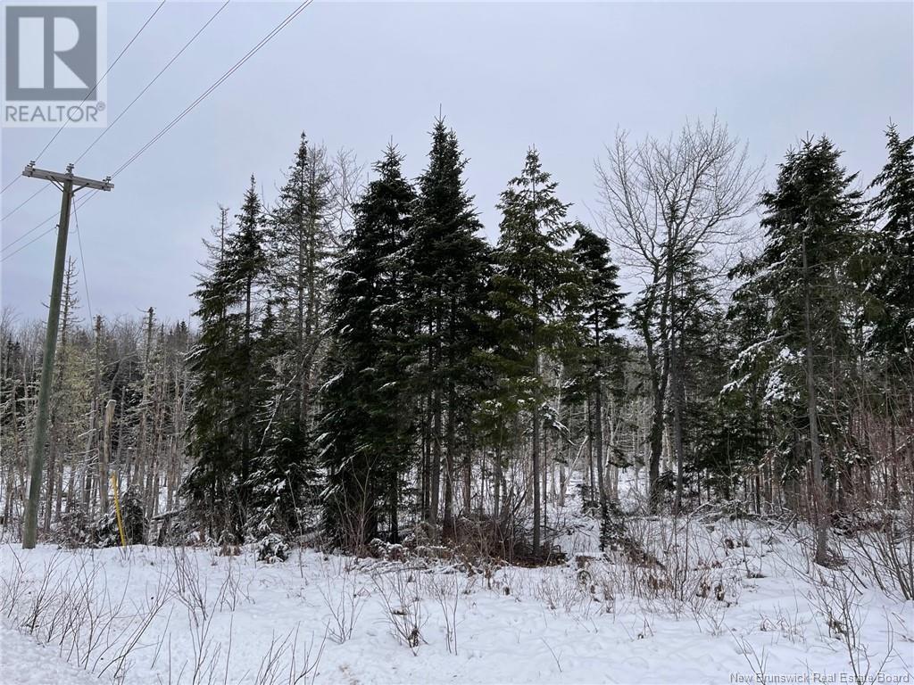 - Oldfield Road, Bartibog, New Brunswick  E1V 6L4 - Photo 8 - NB082894