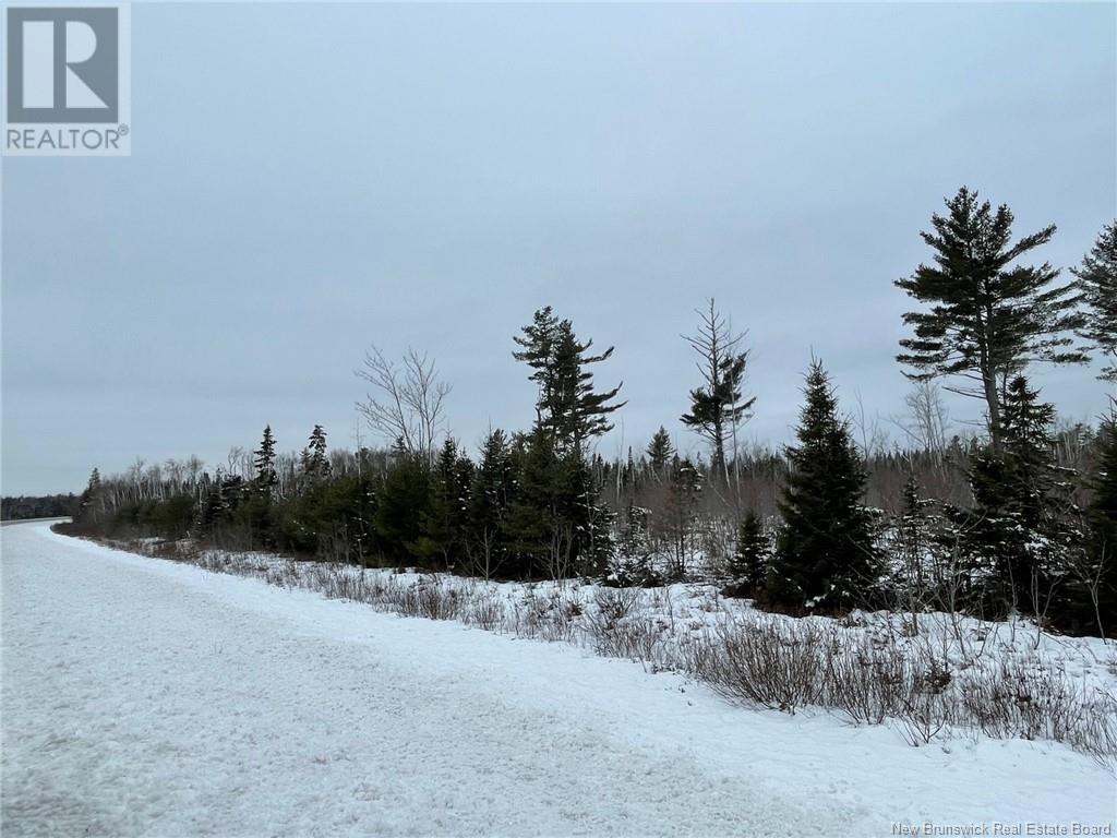 - Oldfield Road, Bartibog, New Brunswick  E1V 6L4 - Photo 14 - NB082894