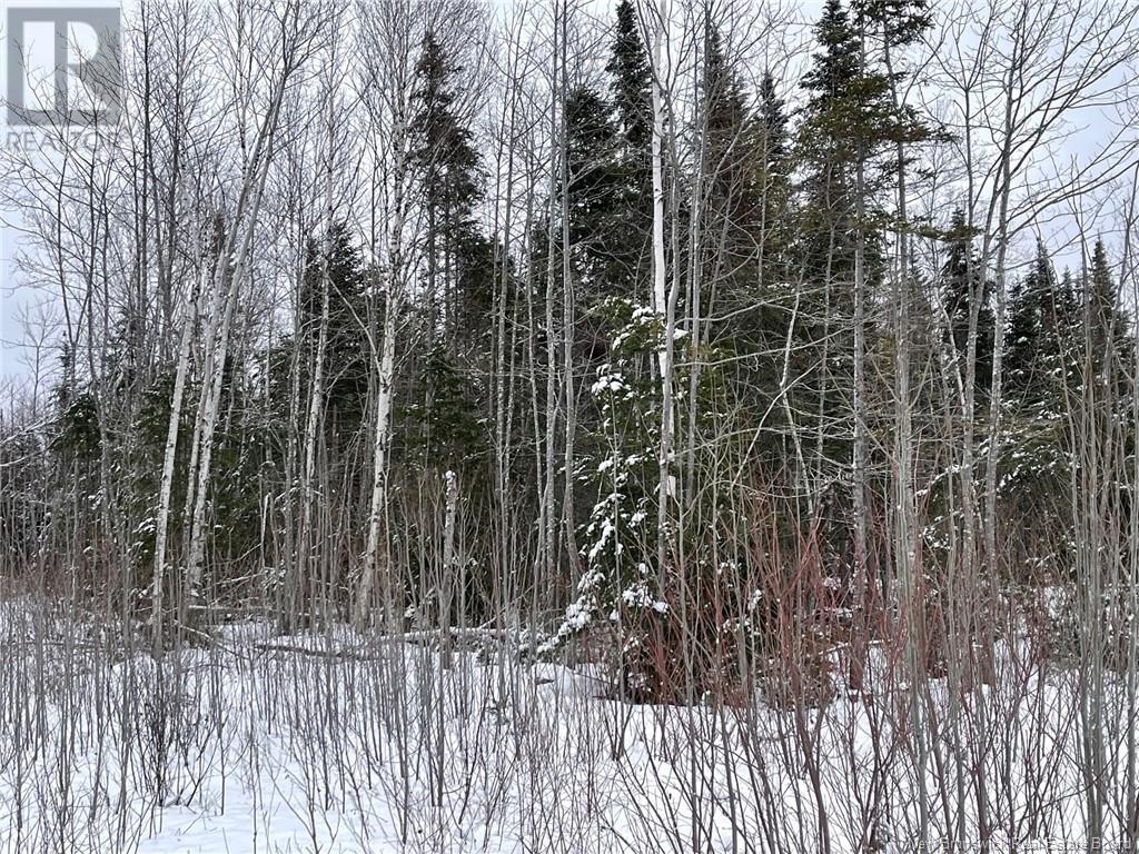 - Oldfield Road, Bartibog, New Brunswick  E1V 6L4 - Photo 11 - NB082894