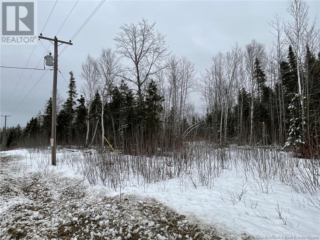 - Oldfield Road, Bartibog, New Brunswick  E1V 6L4 - Photo 10 - NB082894