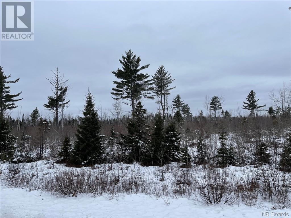 - Oldfield Road, Bartibog, New Brunswick  E1V 6L4 - Photo 12 - NB082894