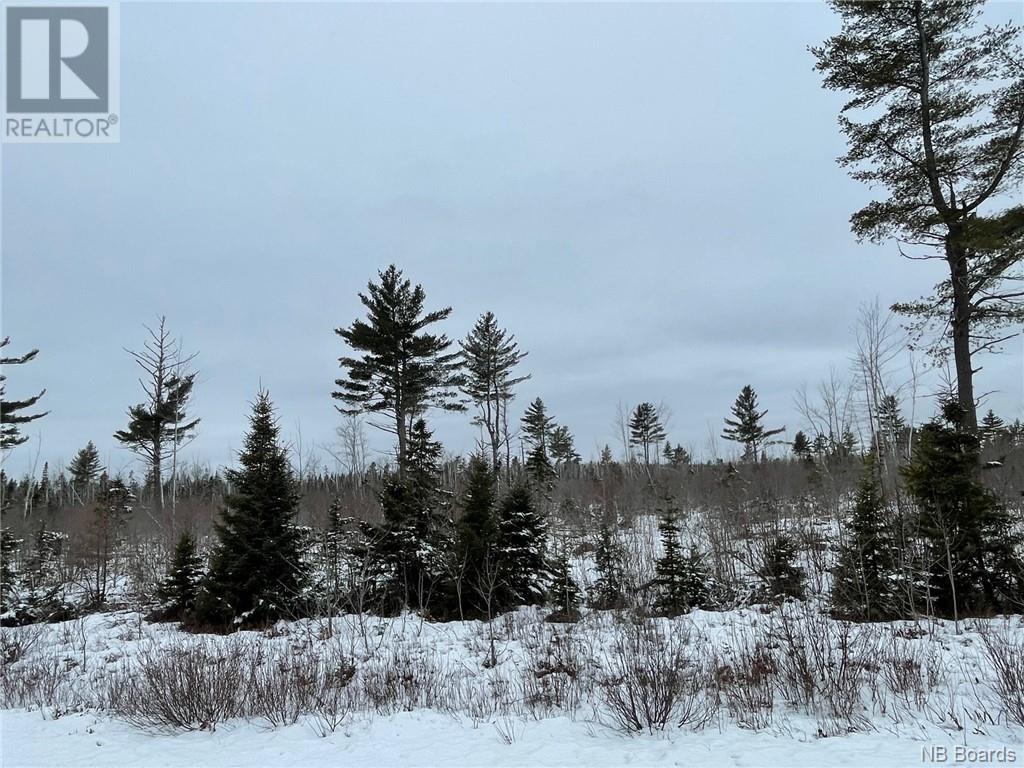 - Oldfield Road, Bartibog, New Brunswick  E1V 6L4 - Photo 13 - NB082894