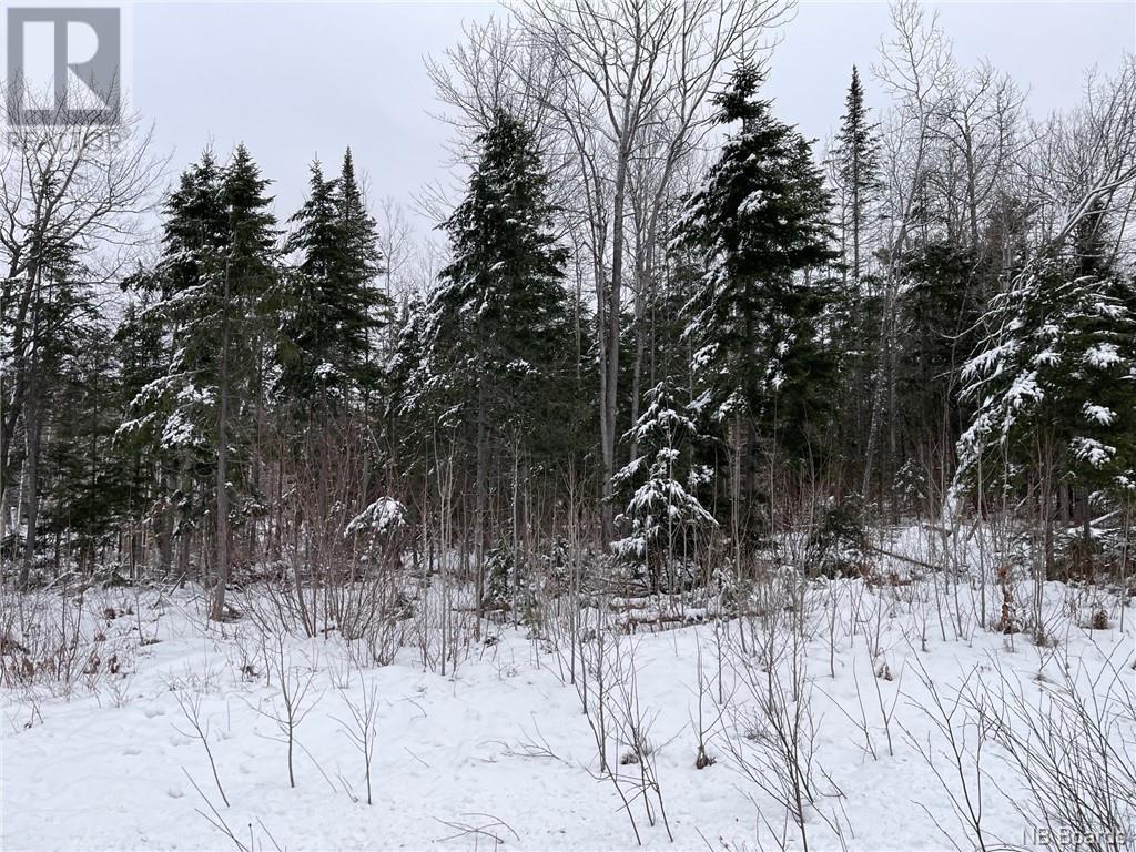 - Oldfield Road, Bartibog, New Brunswick  E1V 6L4 - Photo 6 - NB082894