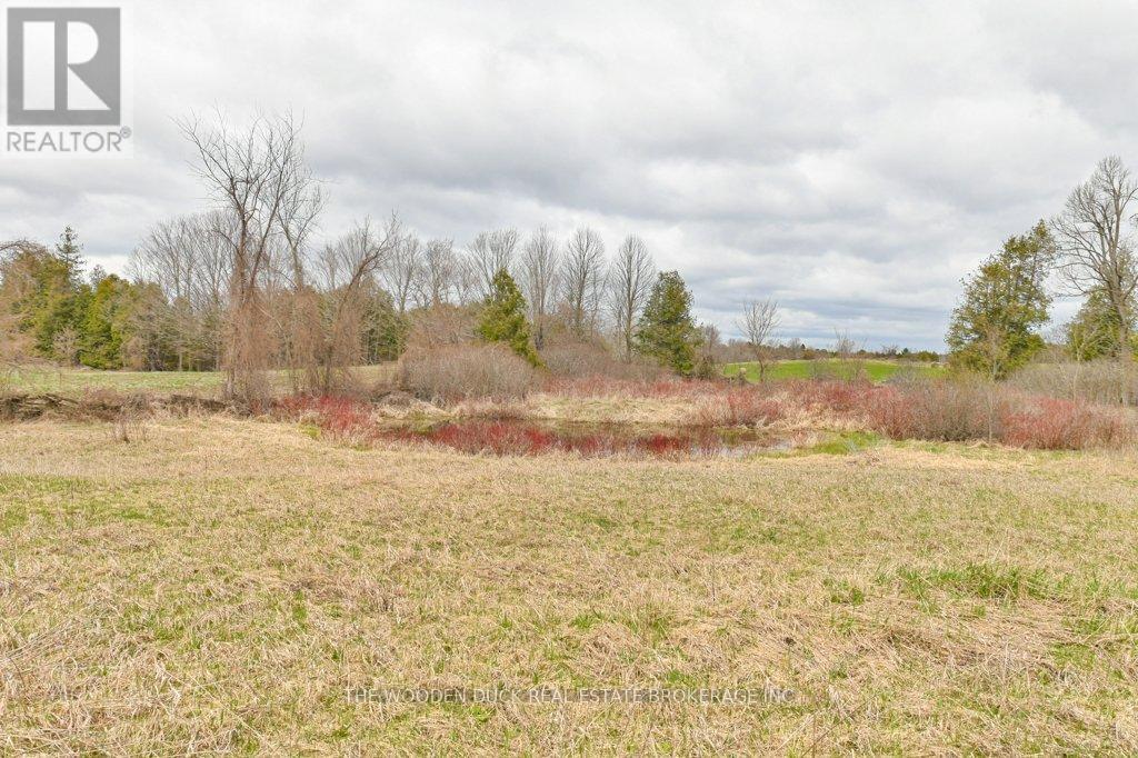 256 8th Line S Dummer Road, Douro-Dummer, Ontario  K0L 2V0 - Photo 35 - X7361034