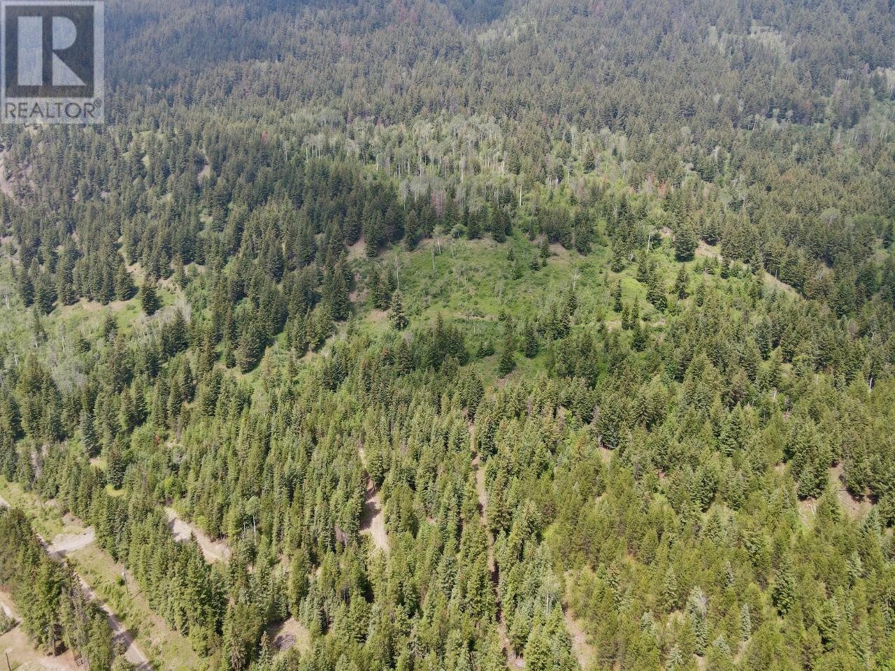 Lot 8 Fadear Creek Road, Heffley, British Columbia  V0E 2E0 - Photo 11 - 176067