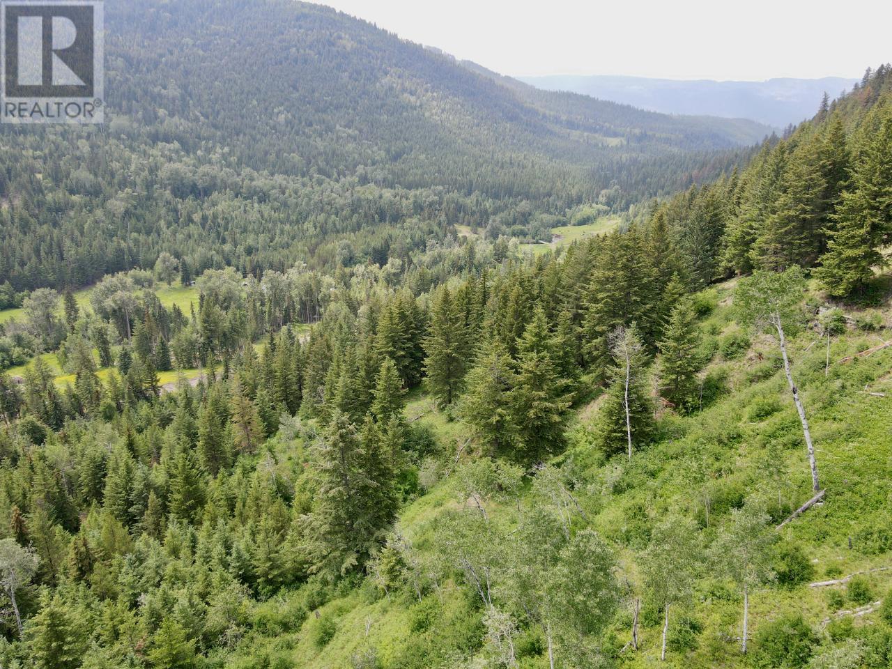 Lot 8 Fadear Creek Road, Heffley, British Columbia  V0E 2E0 - Photo 6 - 176067