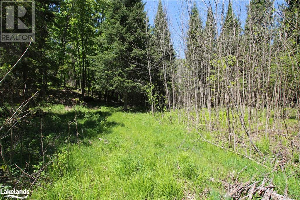 0 Old Nipissing Road N, Commanda, Ontario  P0H 1J0 - Photo 2 - 40523206