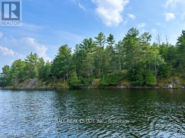 0 Stoney Lake, North Kawartha, Ontario  K0L 3E0 - Photo 9 - X7363876