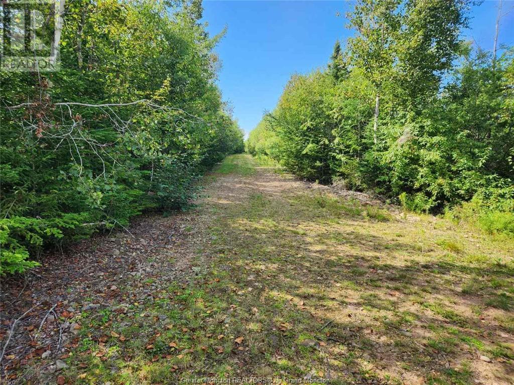 Lot Route 935, Sackville, New Brunswick  E4L 0A9 - Photo 1 - M156652