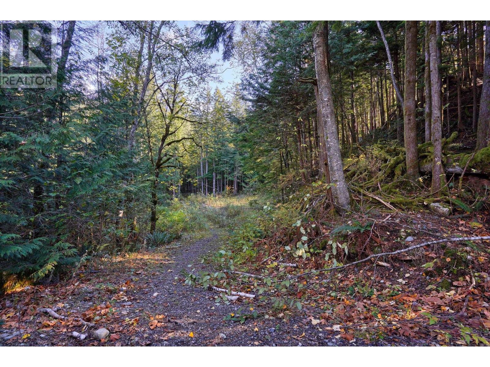 1017 Copper Drive, Britannia Beach, British Columbia  V8B 1J2 - Photo 2 - R2838181