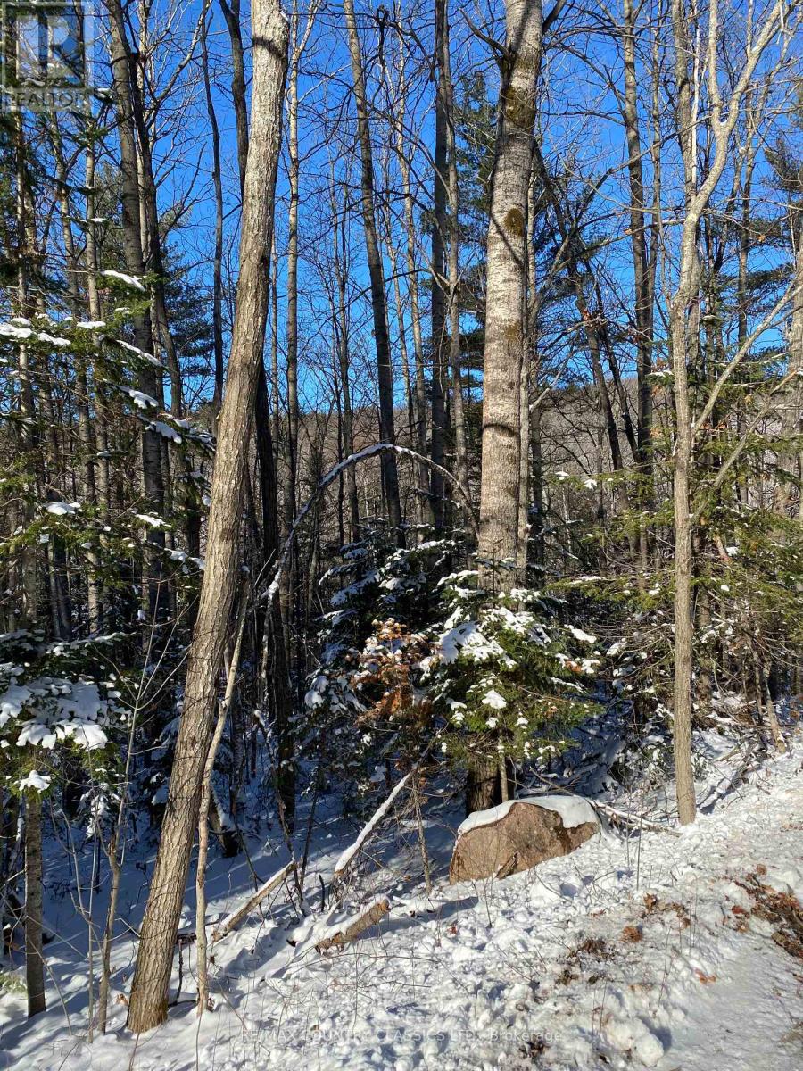 0 Snow Rd, Bancroft, Ontario  K0L 1C0 - Photo 31 - X7276928