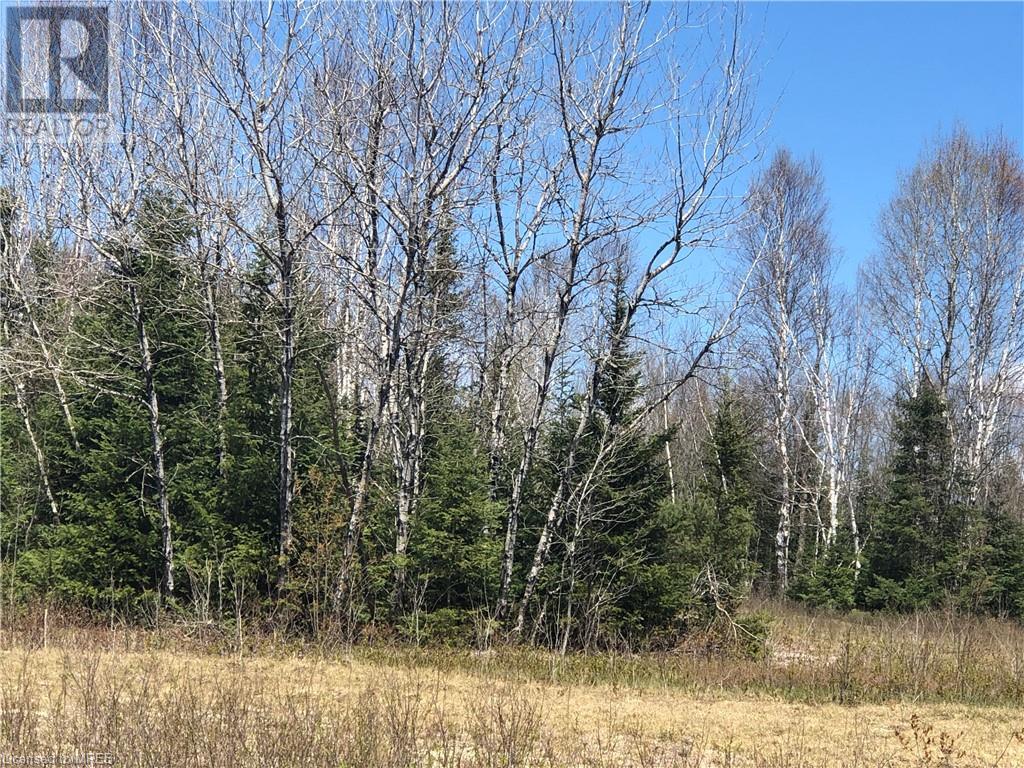 Na Pickerel & Jack Lake Road, Burk's Falls, Ontario  P0A 1C0 - Photo 37 - 40523599