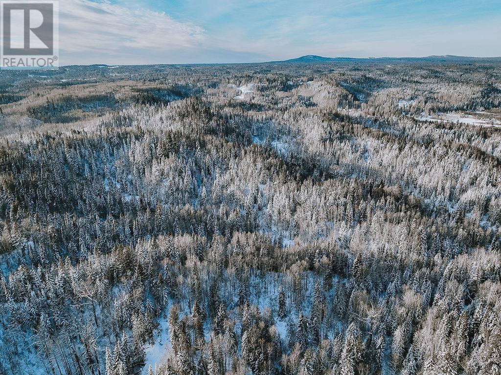 851 Iona Road, Prince George, British Columbia  V2K 5S5 - Photo 4 - R2838250