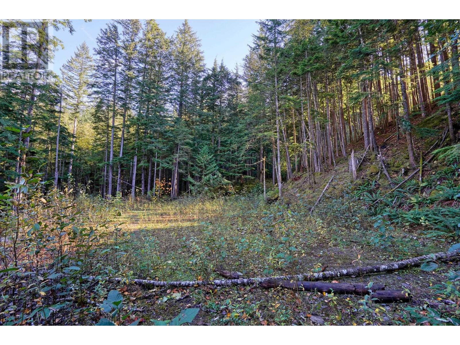 1017 Copper Drive, Britannia Beach, British Columbia  V8B 1J2 - Photo 14 - R2838181