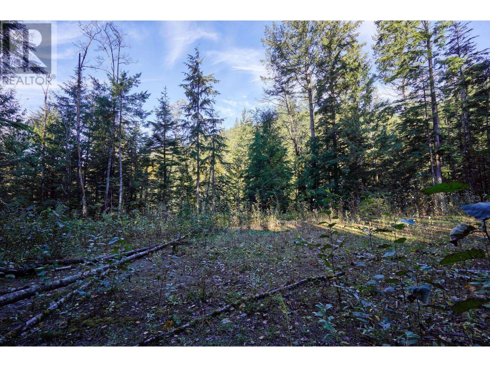 1017 Copper Drive, Britannia Beach, British Columbia  V8B 1J2 - Photo 15 - R2838181